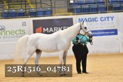 25R1516_04781 thumbnail