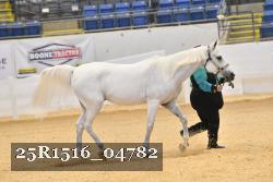 25R1516_04782 thumbnail