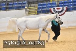 25R1516_04783 thumbnail