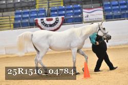 25R1516_04784 thumbnail