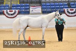 25R1516_04785 thumbnail