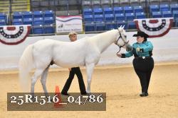 25R1516_04786 thumbnail
