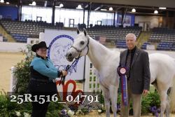 25R1516_04791 thumbnail
