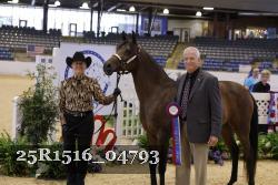 25R1516_04793 thumbnail