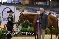 25R1516_04795 thumbnail