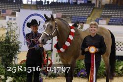 25R1516_04797 thumbnail