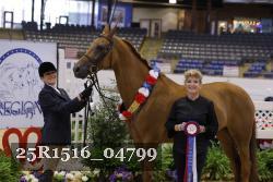 25R1516_04799 thumbnail