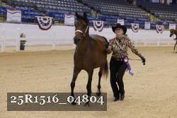25R1516_04804 thumbnail
