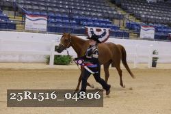 25R1516_04806 thumbnail