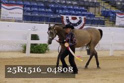 25R1516_04808 thumbnail