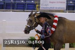 25R1516_04809 thumbnail