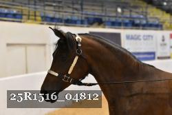 25R1516_04812 thumbnail