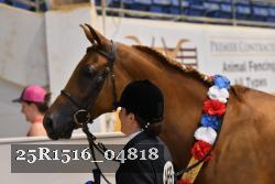 25R1516_04818 thumbnail