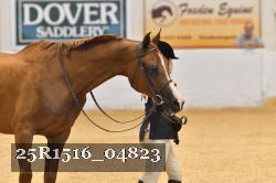 25R1516_04823 thumbnail