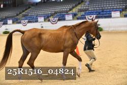 25R1516_04824 thumbnail