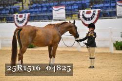 25R1516_04825 thumbnail