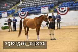 25R1516_04826 thumbnail