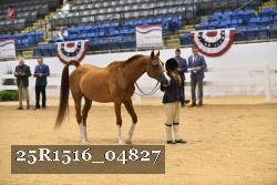 25R1516_04827 thumbnail