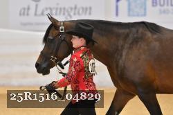25R1516_04829 thumbnail