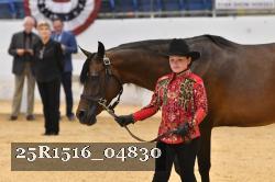 25R1516_04830 thumbnail
