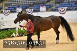 25R1516_04831 thumbnail