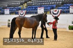 25R1516_04833 thumbnail