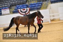 25R1516_04834 thumbnail