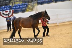 25R1516_04835 thumbnail