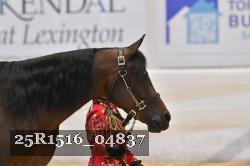 25R1516_04837 thumbnail
