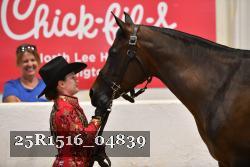 25R1516_04839 thumbnail