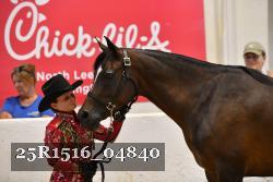 25R1516_04840 thumbnail