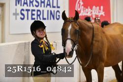 25R1516_04842 thumbnail
