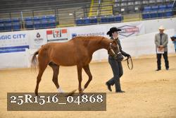 25R1516_04868 thumbnail