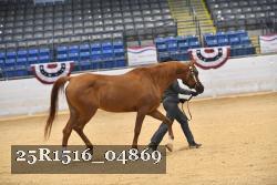 25R1516_04869 thumbnail