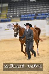25R1516_04871 thumbnail