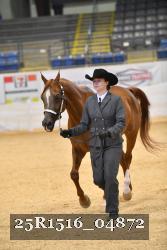 25R1516_04872 thumbnail