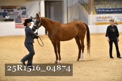 25R1516_04874 thumbnail