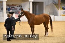 25R1516_04875 thumbnail