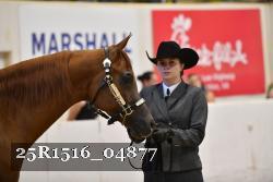 25R1516_04877 thumbnail