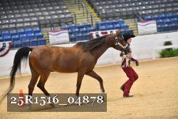 25R1516_04878 thumbnail