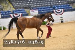 25R1516_04879 thumbnail