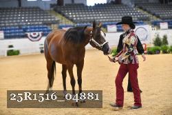 25R1516_04881 thumbnail