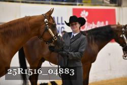 25R1516_04883 thumbnail