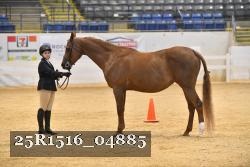 25R1516_04885 thumbnail