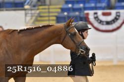 25R1516_04886 thumbnail