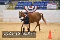 25R1516_04887 thumbnail