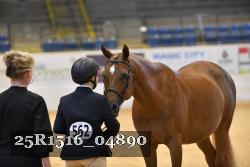 25R1516_04890 thumbnail