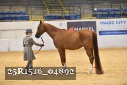 25R1516_04892 thumbnail