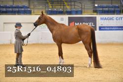 25R1516_04893 thumbnail