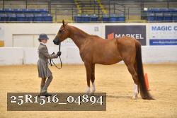 25R1516_04894 thumbnail